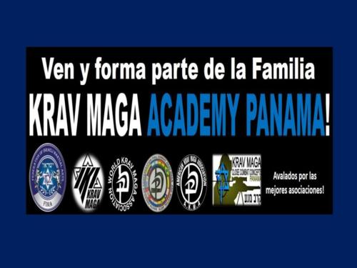 plantilla 
